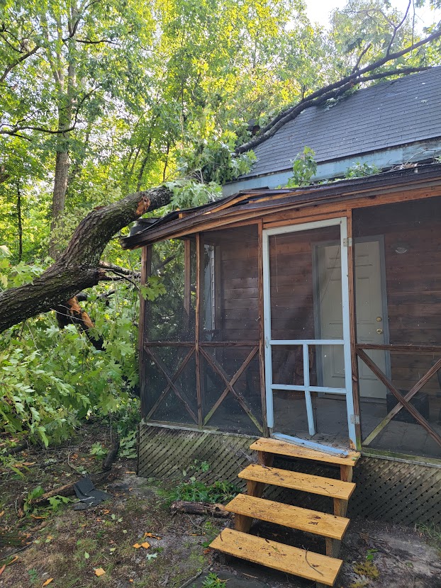 Tree fallen on a shed